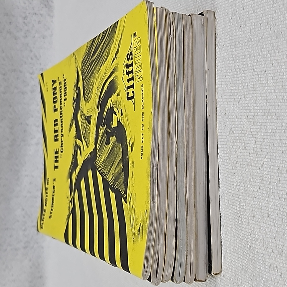 Cliffs Notes - Bundle - Picture 10 of 12